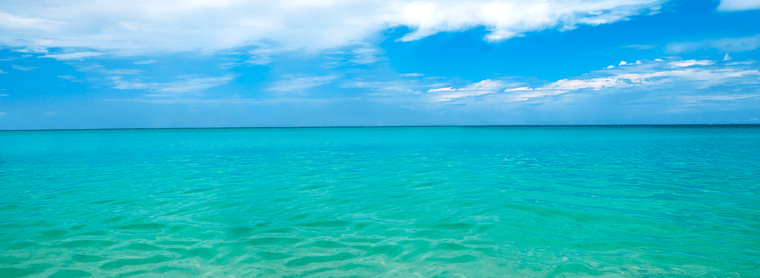 Stop Washing Your Swimsuits! The Right Way to Clean Your Bathing Suit